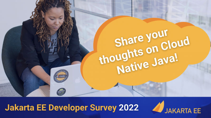 Developer survey